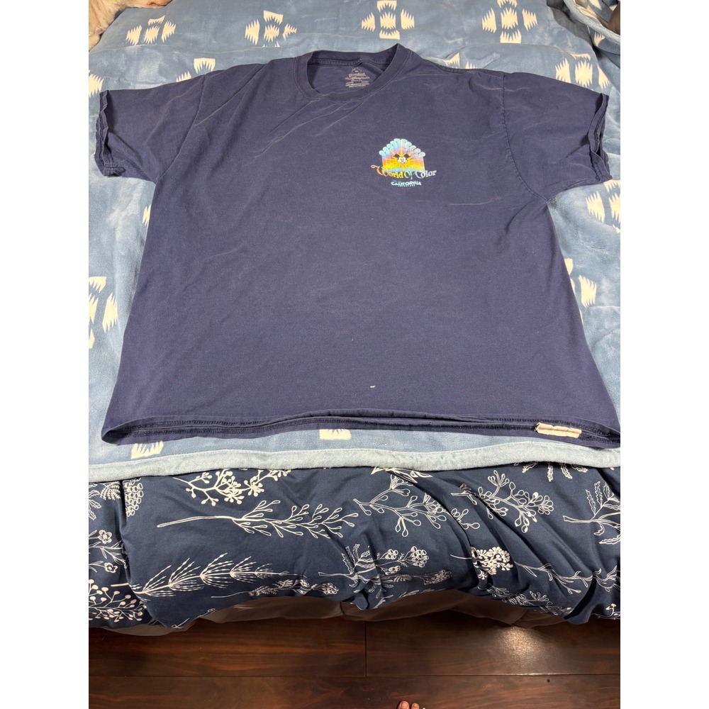 Disneyland World of Color California Adventure Navy T-Shirt Mens XL Hanes 6784